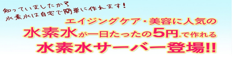 ���f���ƃI�]�����������^�b�`�ō���T�[�o�[�y���f���T�[�o�[�����h�z���T�C�g